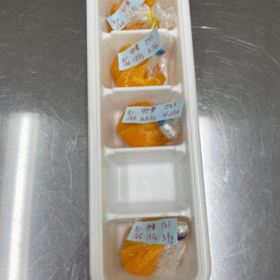 卵黄は冷凍保存できる？