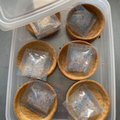 タルトケースの保存出来ますか？