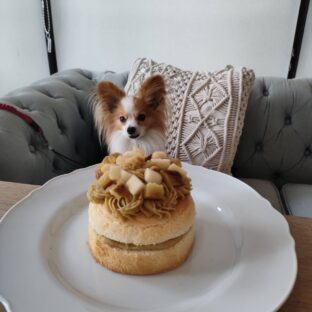 ワンコとママが食べられるおやつはどんなおやつ？